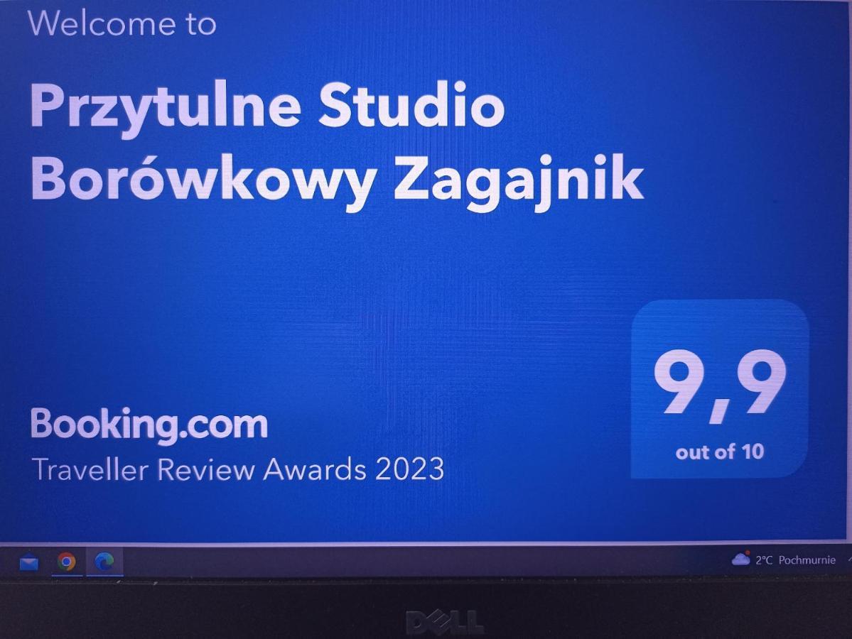 Przytulne Studio Borówkowy Zagajnik Piechowice  Exterior foto